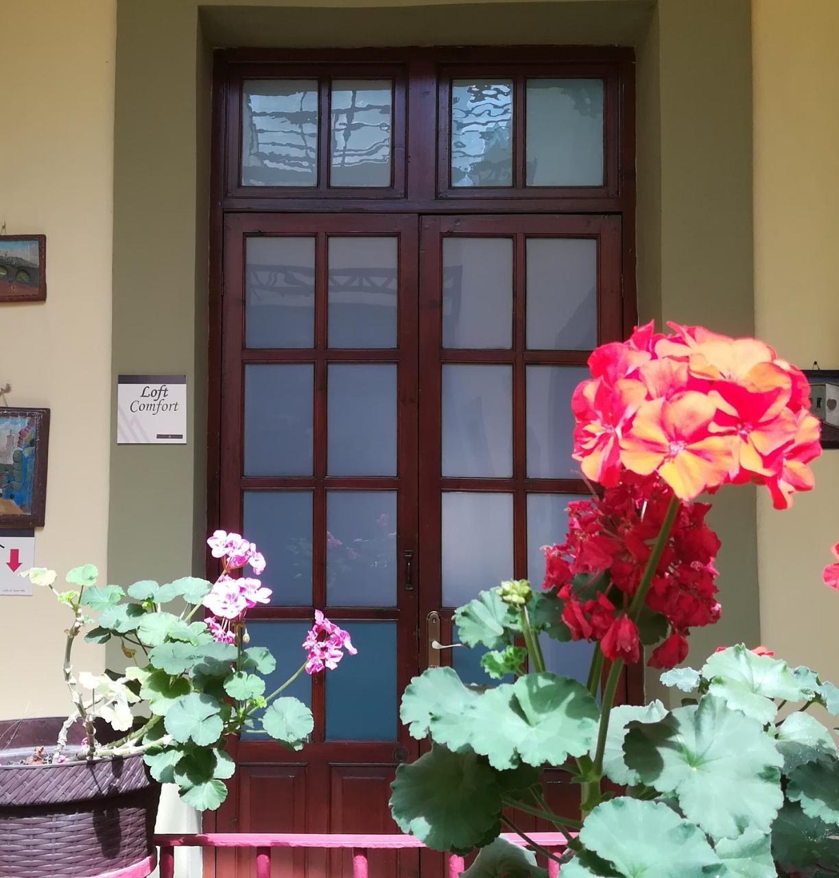 Casa Hotel Aroma 406 Puebla Eksteriør billede
