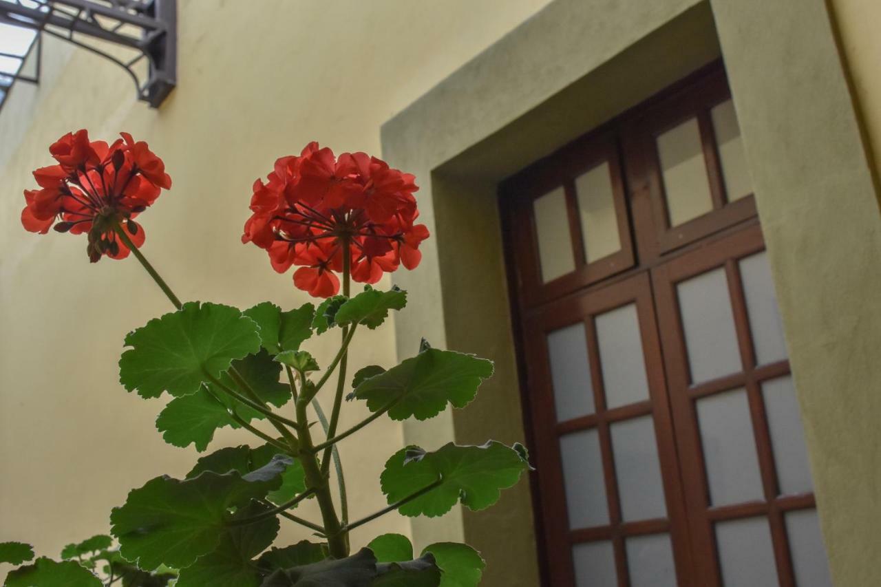 Casa Hotel Aroma 406 Puebla Eksteriør billede